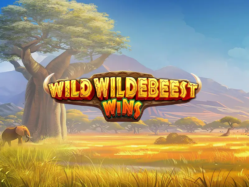 Wild Wildebeest Wins